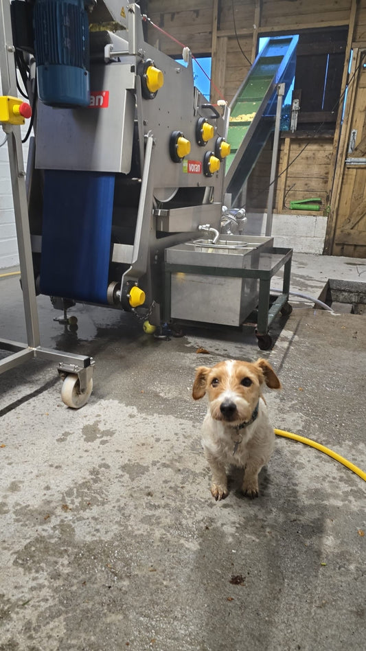 Eric approves of the Juice